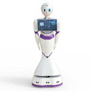 Humanoid Robot, Service Robot
